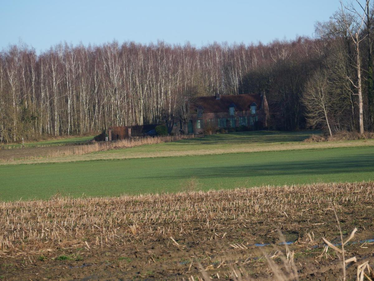 La Cabane Du Chasseur Flines-Les-Mortagne Exterior foto
